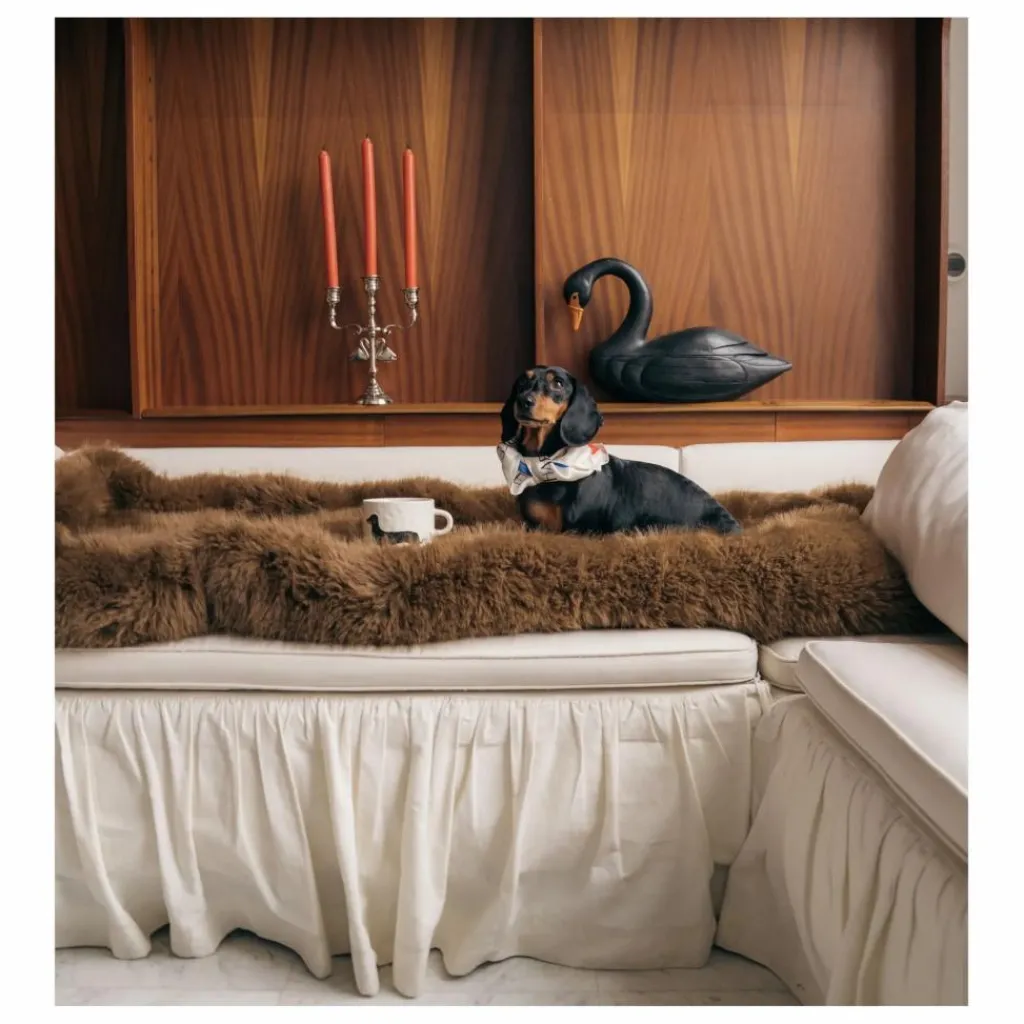 Hot Mug Teckel Art De La Table