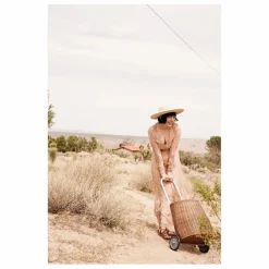 Online Panier à roulettes adulte en rotin Luggy Petits Rangements