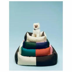 Best Panier pour chien | Accessoires Animaux