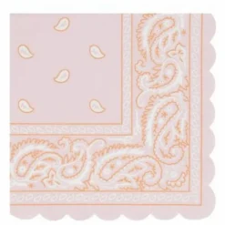 Discount Petites serviettes en papier Western - Set de 16 Enfant Décoration De Fête