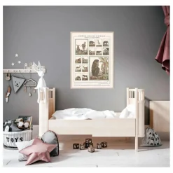 Planche Espèces choisies d'Afrique - Animaux de Buffons Déco Murale, Papier Peint