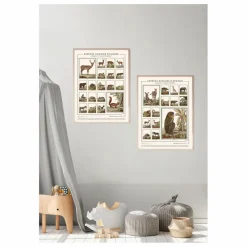 Planche Espèces choisies d'Afrique - Animaux de Buffons Déco Murale, Papier Peint