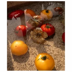 Poignée de porte en laiton Hailey | Petits Rangements