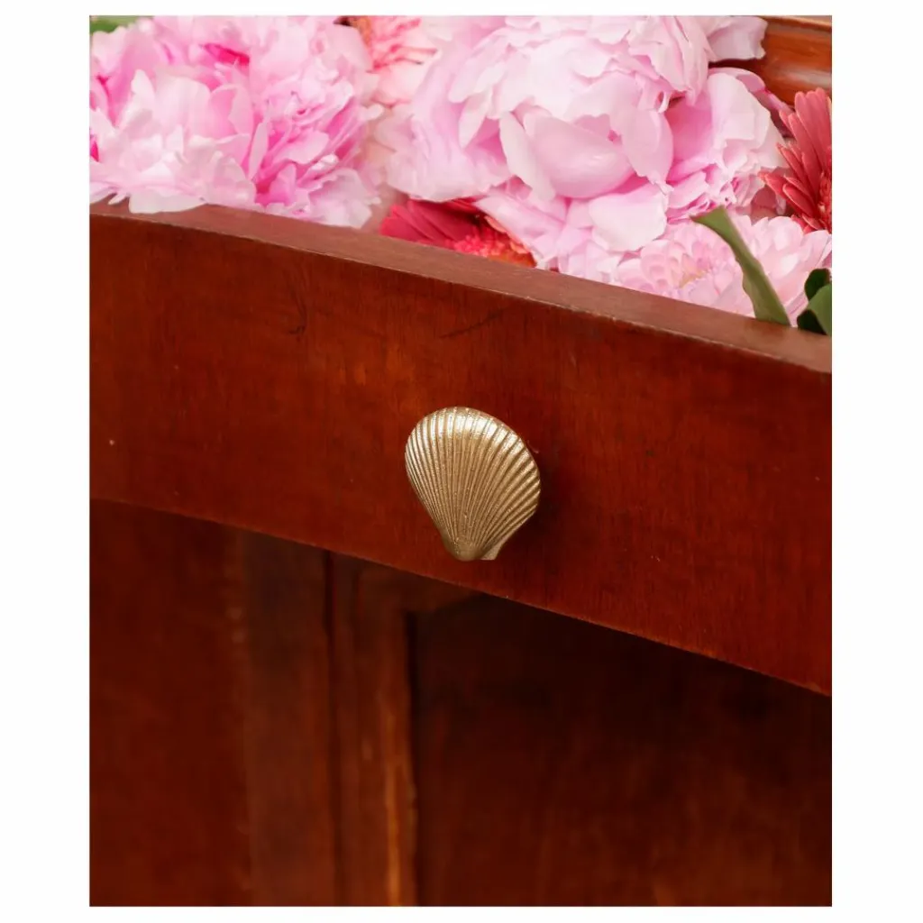 Hot Poignée de porte en laiton Shell | Petits Rangements