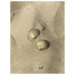 Hot Poignée de porte en laiton Shell | Petits Rangements