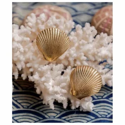 Hot Poignée de porte en laiton Shell | Petits Rangements