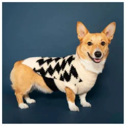 Clearance Pull Pixmond | Accessoires Animaux