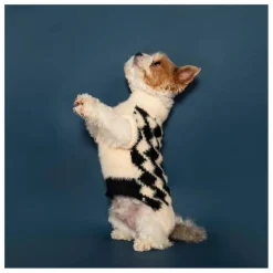 Clearance Pull Pixmond | Accessoires Animaux