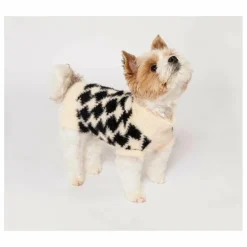 Clearance Pull Pixmond | Accessoires Animaux