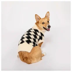 Clearance Pull Pixmond | Accessoires Animaux