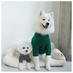 Discount Pull rayé | Accessoires Animaux