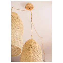 Sale Système électrique, rosace en palm Luminaires