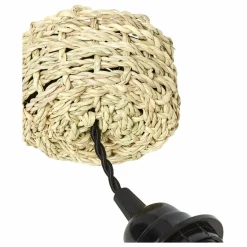 Sale Système électrique, rosace en palm Luminaires