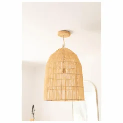 Sale Système électrique, rosace en palm Luminaires