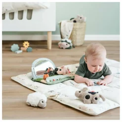 Sale Tapis d'éveil Tiny Farm | Tapis D'Éveil Et Arches|Puériculture