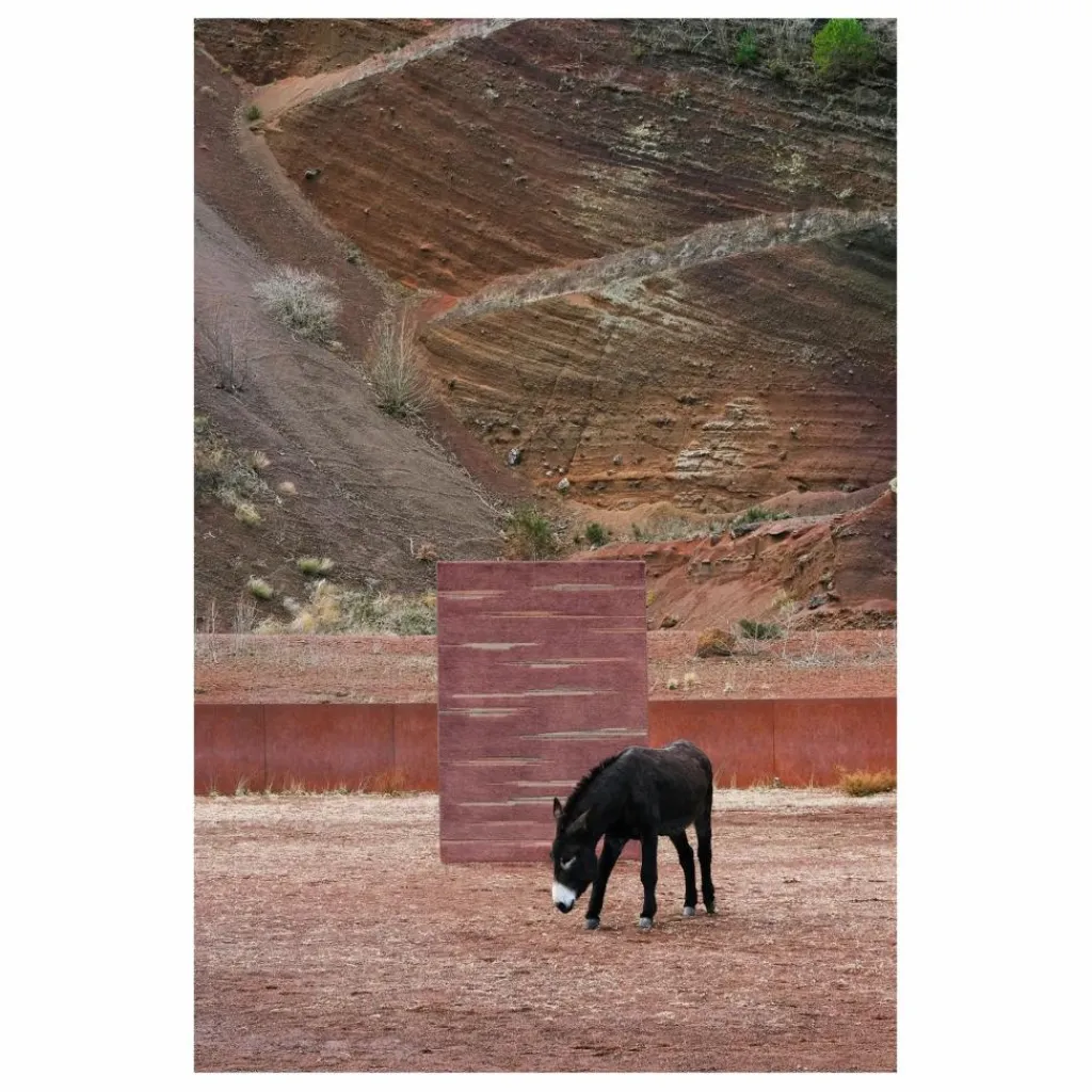 Outlet Tapis en laine Colorado | Tapis