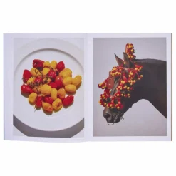 Outlet The River Cafe Lookbook for Kids - EN Homme Livres|Livres, Jeux