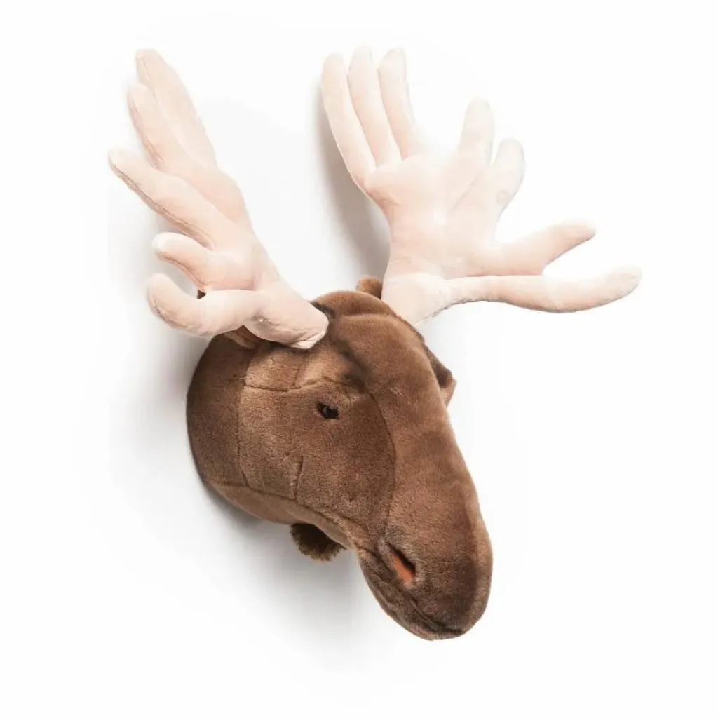 Clearance Trophée Elan | Enfant Décoration Murale|Déco Murale Enfant