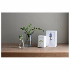 Hot Vase en verre Aquaculture | Vases, Objets Déco