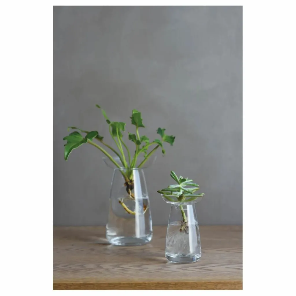 Discount Vase en verre Aquaculture | Vases, Objets Déco