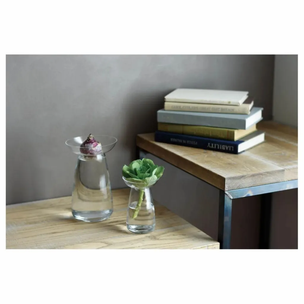 Discount Vase en verre Aquaculture | Vases, Objets Déco