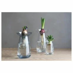 Discount Vase en verre Aquaculture | Vases, Objets Déco