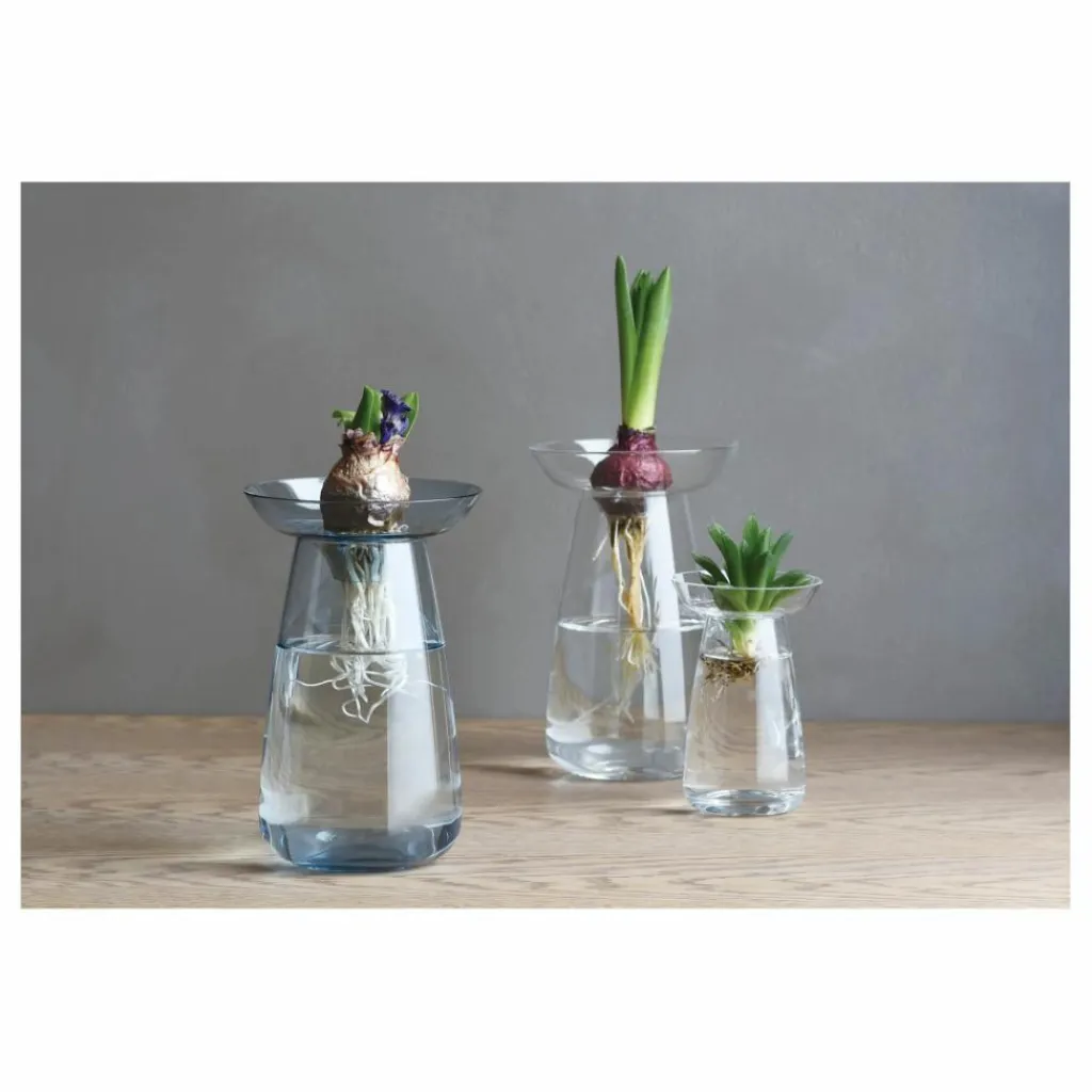 Discount Vase en verre Aquaculture | Vases, Objets Déco