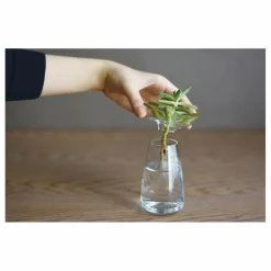 Outlet Vase en verre Aquaculture | Vases, Objets Déco