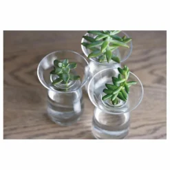 Outlet Vase en verre Aquaculture | Vases, Objets Déco