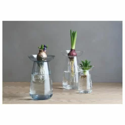 Outlet Vase en verre Aquaculture | Vases, Objets Déco