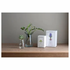 Outlet Vase en verre Aquaculture | Vases, Objets Déco